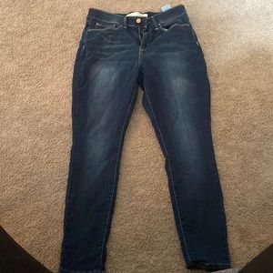 Levi Strauss Signature